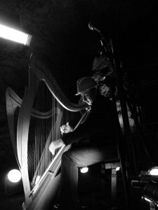 Vincent Zitello, Celtic Harpist, Italy.