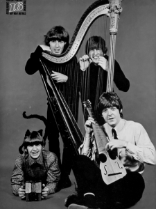 Beatles employed the harp in their song, She is Leaving Home