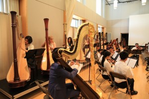 Harp Orchestra 2016 in performance with string ensemble.