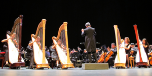 Harp Sinfonia in performance with Philomusica Symphony Orchestra (2015)